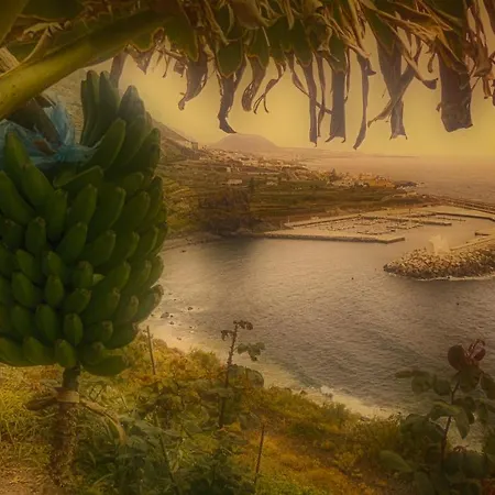 Modern Sea Front In 2 Garachico (Tenerife)